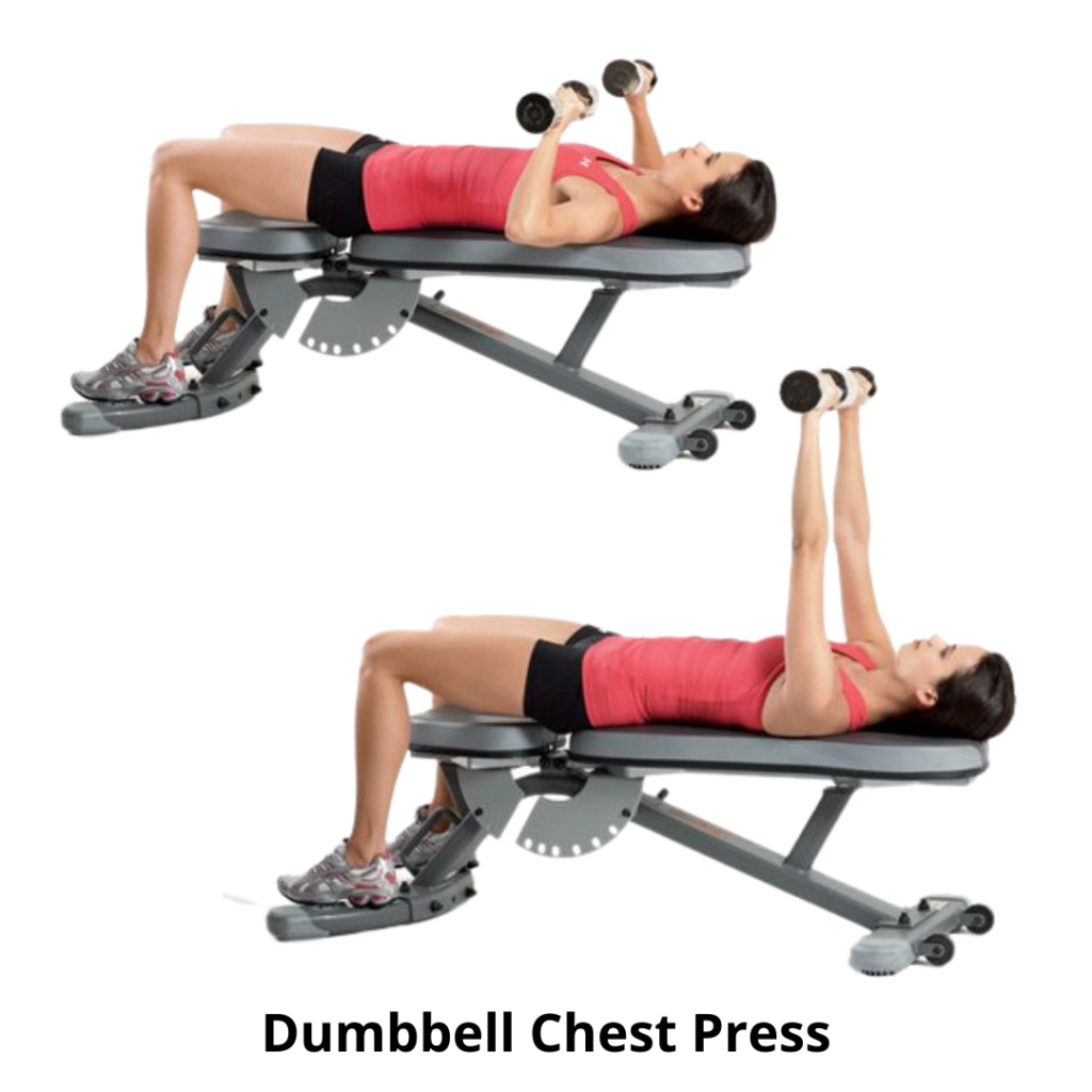 Exercises to do with dumbbells for chest sale